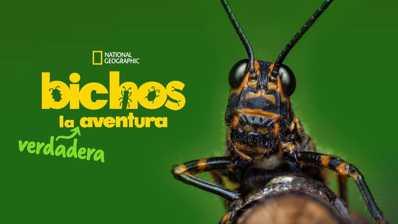 Gallery image from nqYUe8PWqQX39Qp1dzWZcTEJHnb.jpg