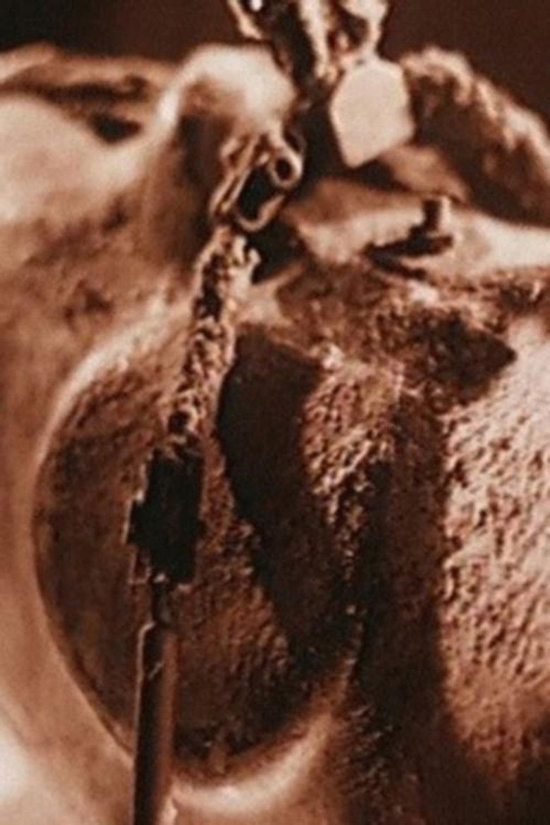 Imatge de Le cavalier bleu