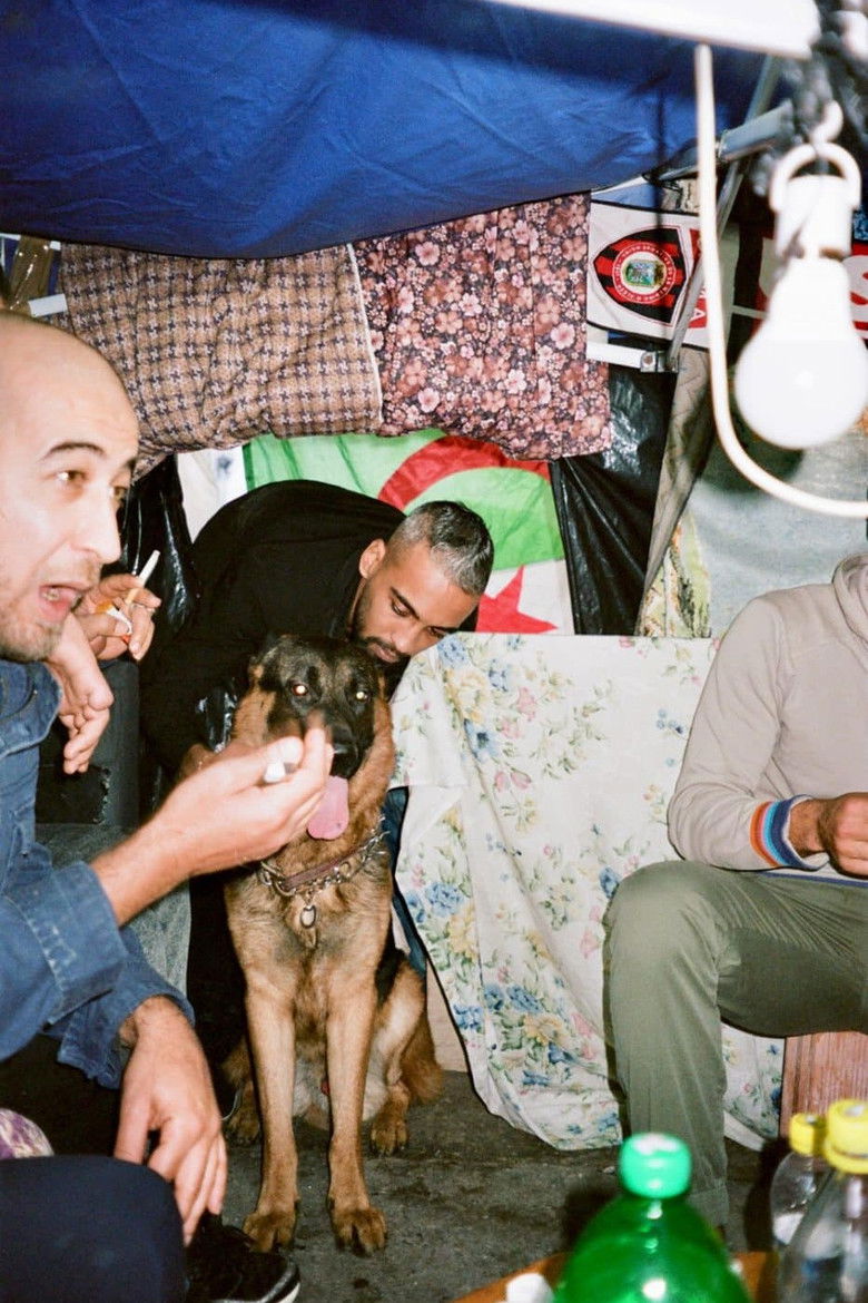 Imatge de TIF | On The Corner (Alger, Algérie)