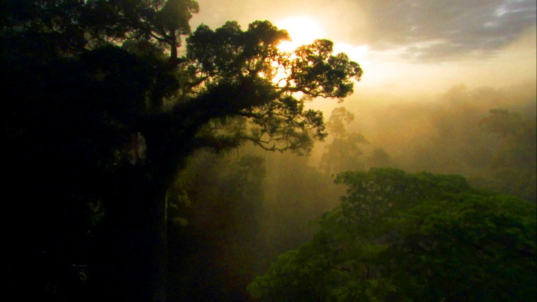 Still from Planet Earth - Season 1 Episode 8