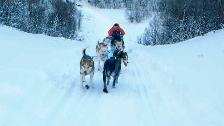 Still image for På tur med Dag Otto season 1 episode 6: Hundeløp Still image for På tur med Dag Otto season 1 episode 6: Hundeløp