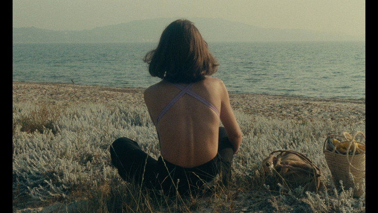 Film backdrop