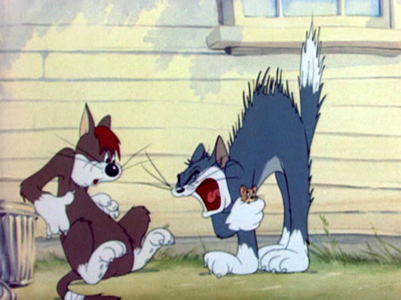 Sufferin' Cats