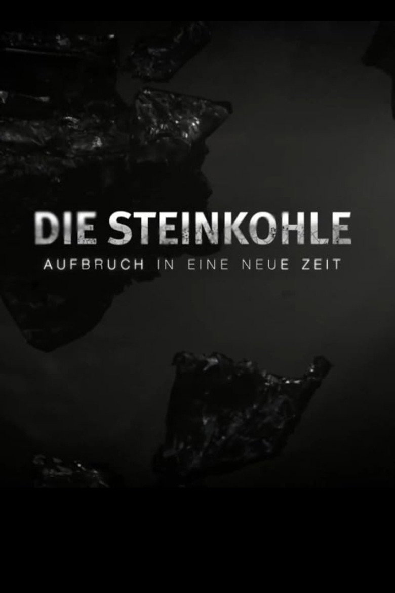 Die Steinkohle: Aufbruch in eine neue Zeit