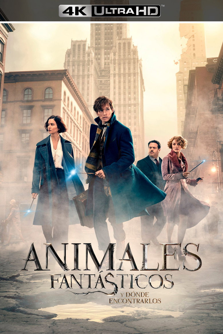 Póster la Película