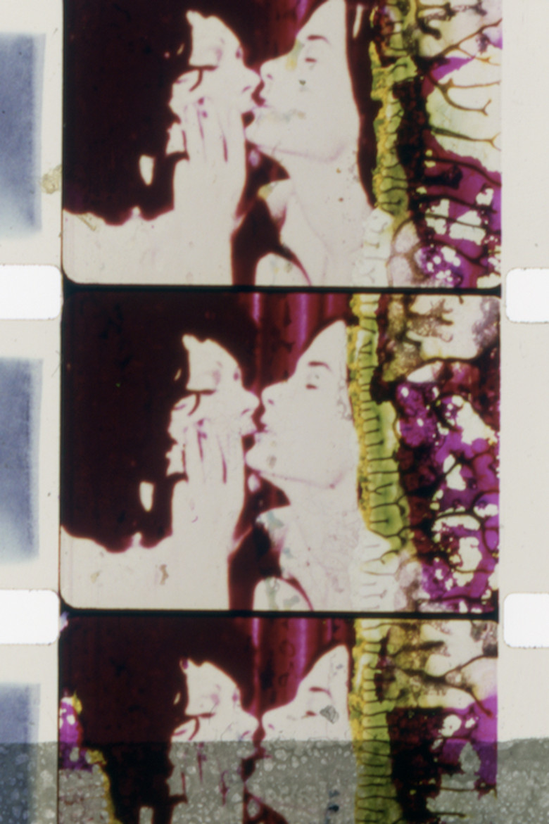 Imatge de The Color of Love