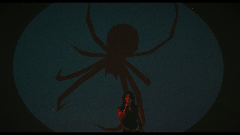 Imatge de REX SPIDER