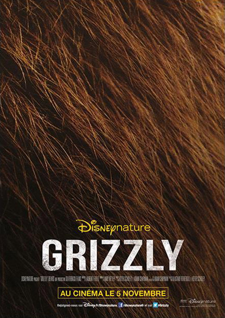Póster la Película