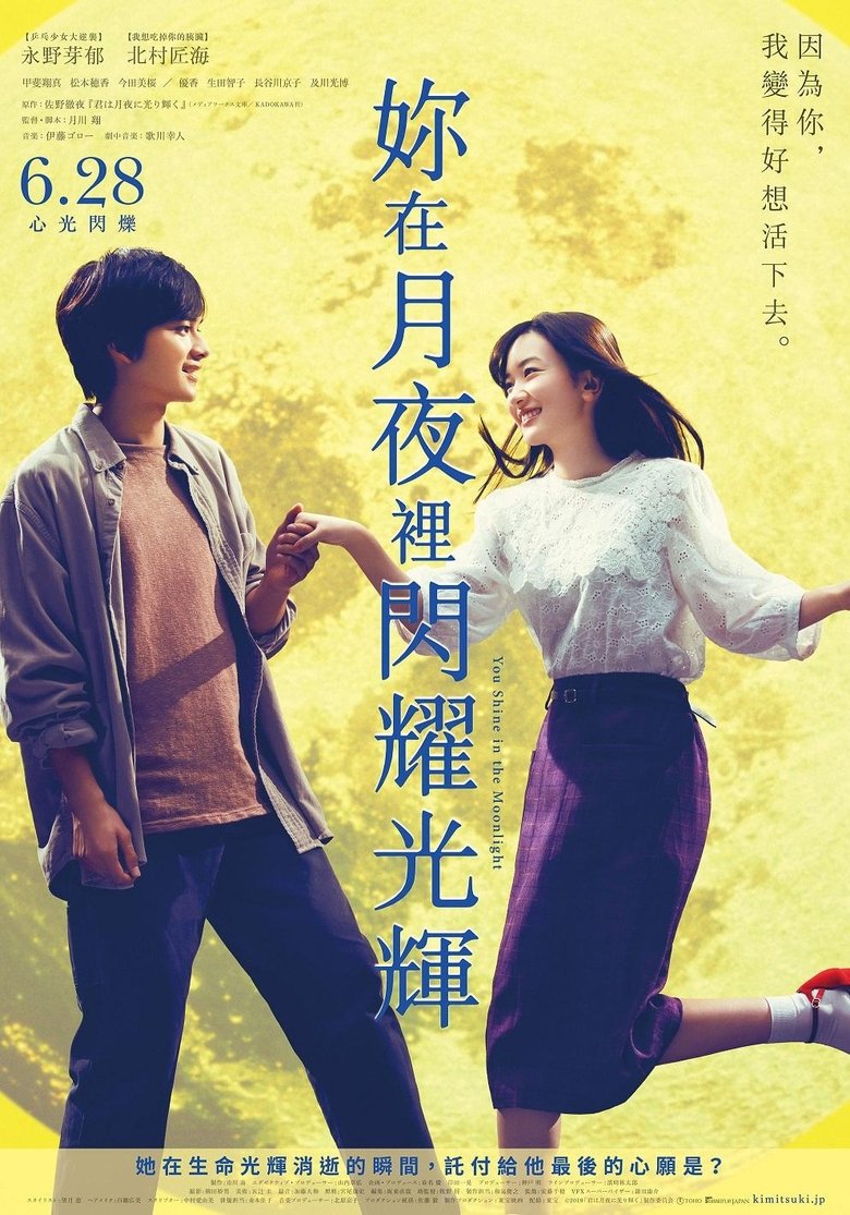 你在月夜里闪耀光辉 (2019)