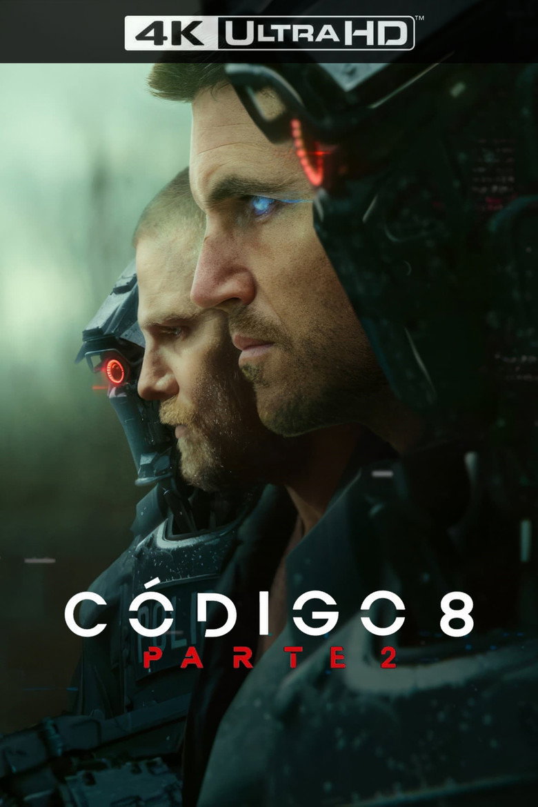 Póster la Película