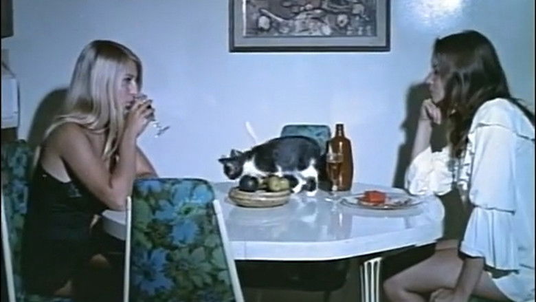 Image d'arrière-plan 1 du film L'amour de femme