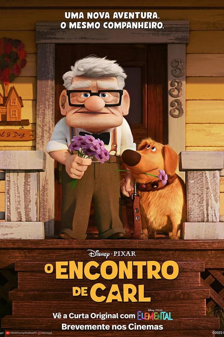 Póster la Película
