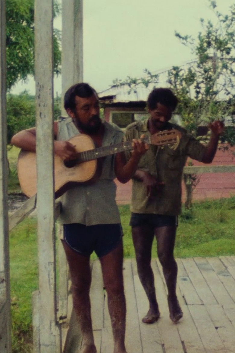 Imatge de Sepa - Nuestro Señor de los Milagros