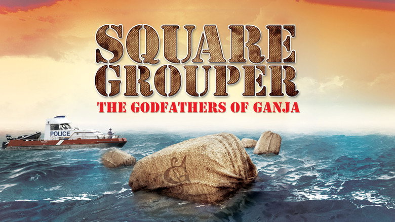 Square Grouper galeri 1