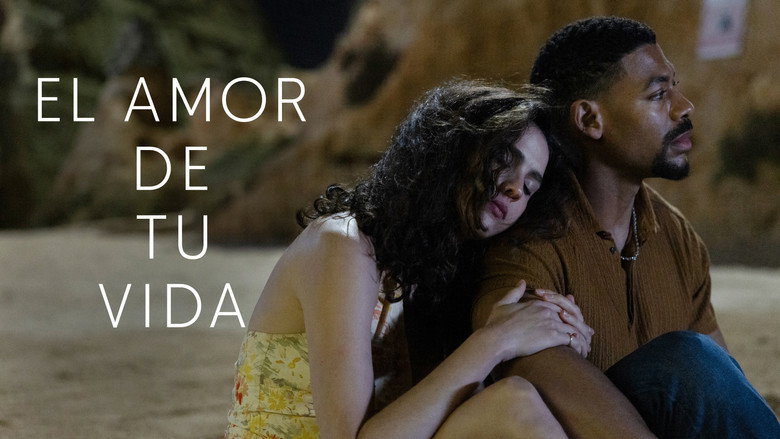 Galería 2 - El amor de tu vida (2026)