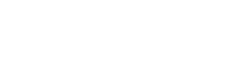 Imagen de Invasión, insurrección