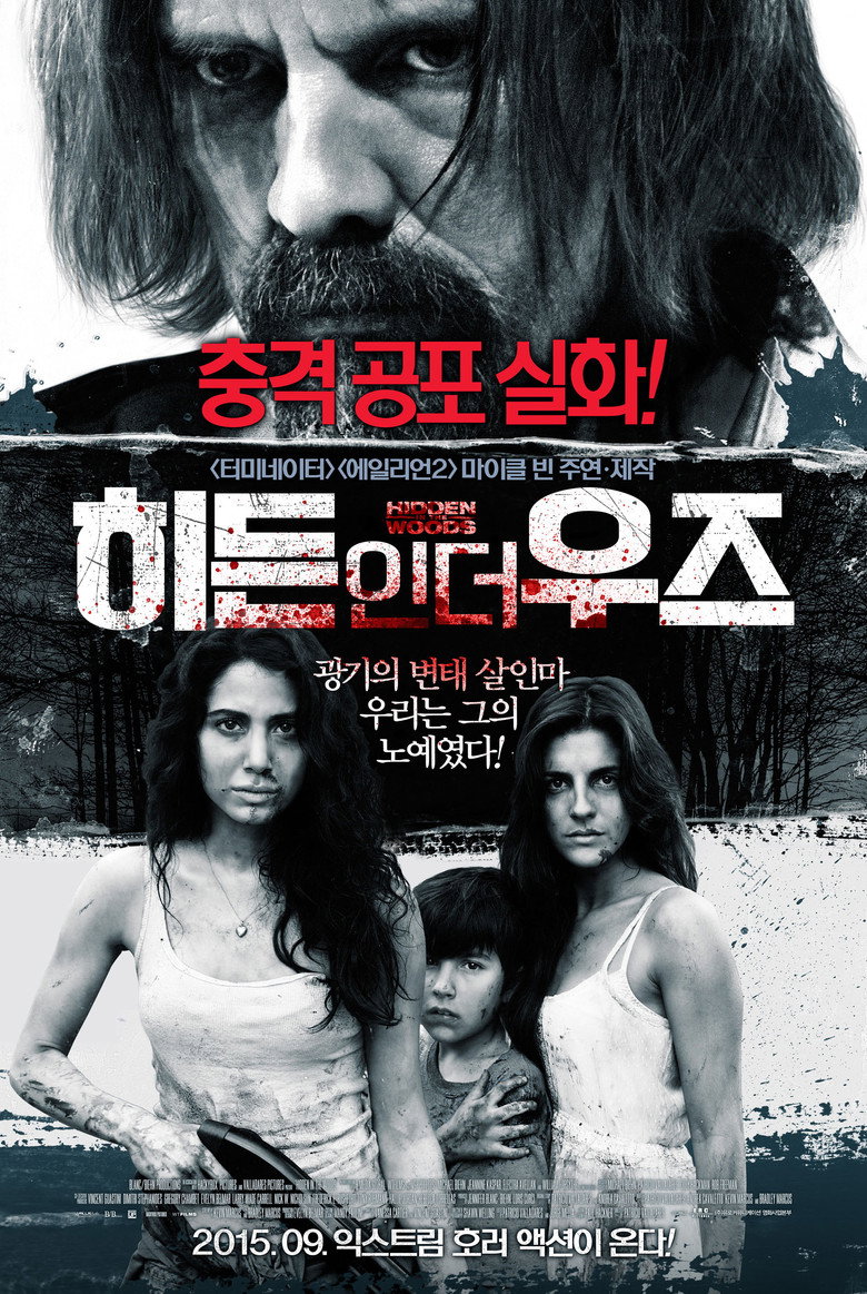 히든 인 더 우즈(Hidden in the Woods) poster