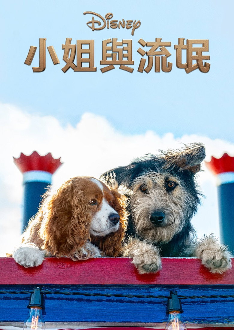 小姐与流浪汉 封面海报