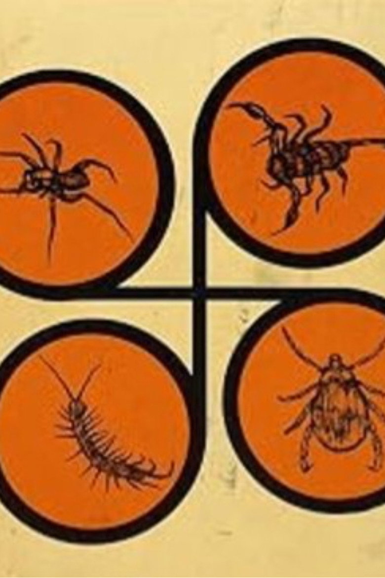 Imatge de Spiders and Flies