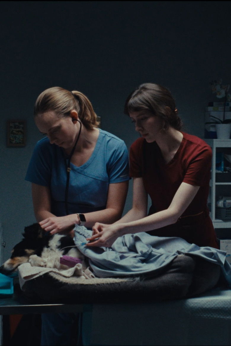 Imatge de Put To Sleep