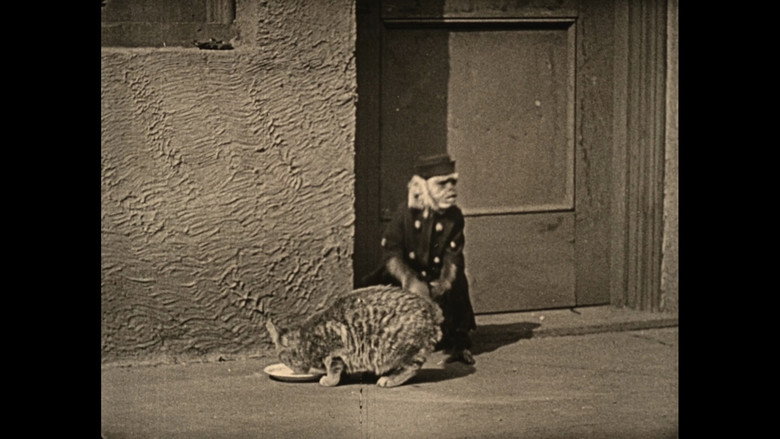 Imatge de Wonder Dogs! Canine Stars of the Silent Era (1898-1928)