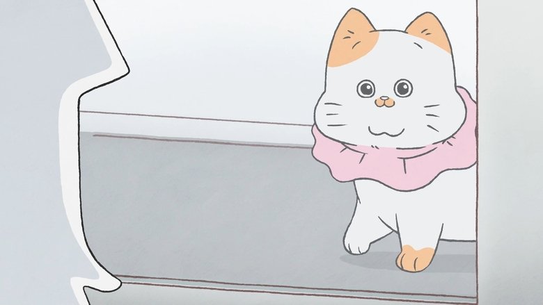 Still image for Cat Uncle: The Guy That Got Reincarnated As a Cat season 1 episode 28: Episode 28