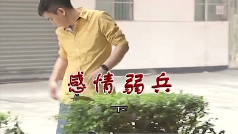 Episode 3200