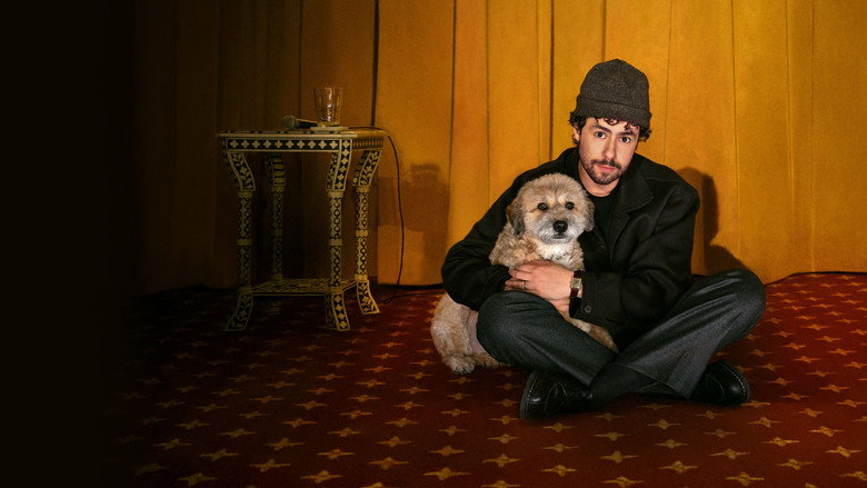 Ramy Youssef: In Love