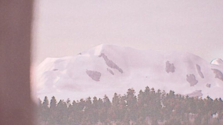 Imatge de Consumindo Espirais