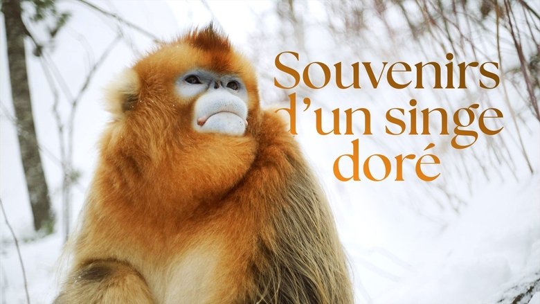 Souvenirs d'un singe doré (2023)