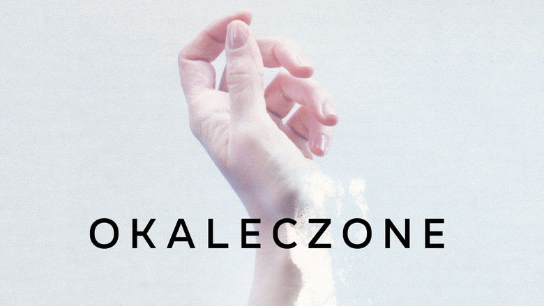 Gallery image from nxByonKsf1LigyAYmxpR8JPAFzK.jpg