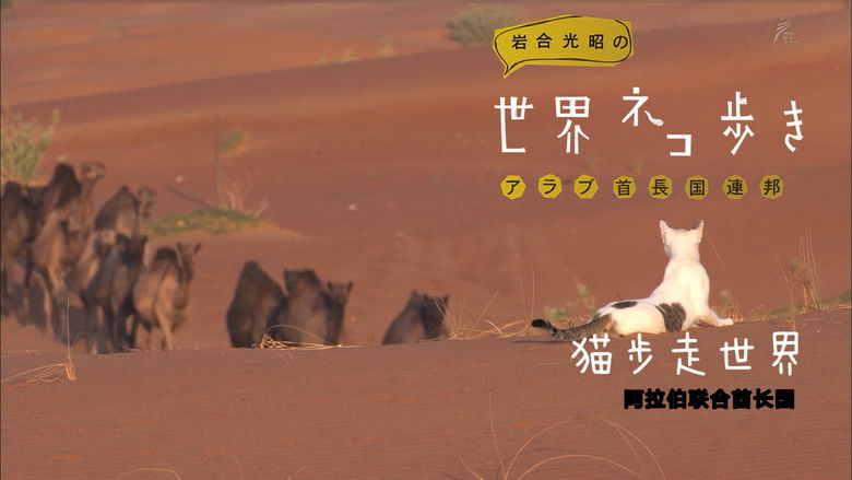 Still image for Mitsuaki Iwago's World “Cats” Travelogue season 1 episode 55: United Arab Emirates Still image for Mitsuaki Iwago's World “Cats” Travelogue season 1 episode 55: United Arab Emirates