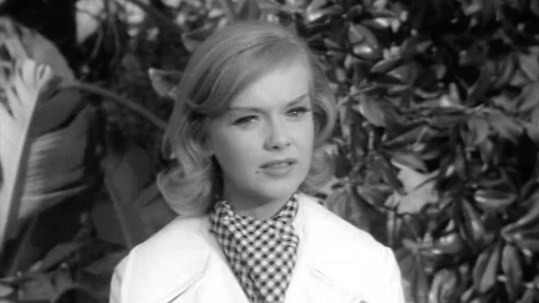 Little Green Robin Hood