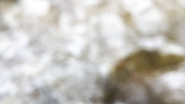 Imatge de Metamorfose