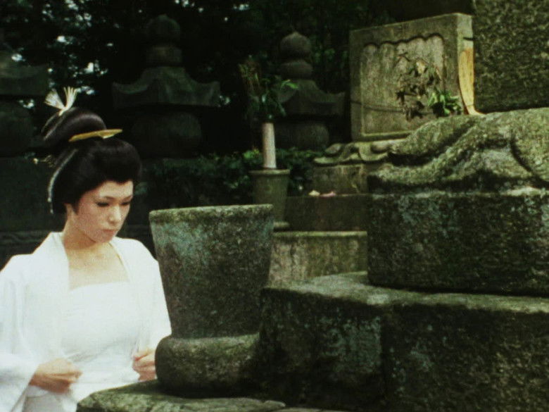 Still image for Nemuri Kyoshiro season 1 episode 9: Foreigner's Sword Howls