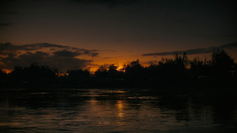 scenes 42