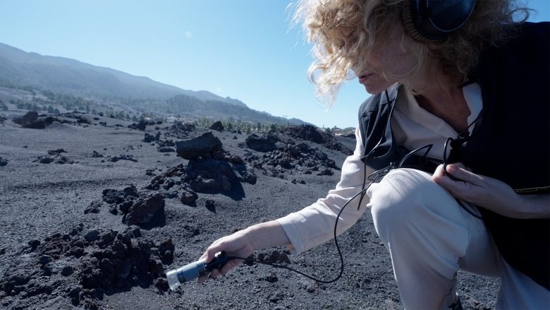 Do Rocks Dream of Flying ? (2024)