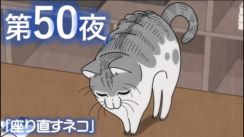 Still image for Nights with a Cat season 1 episode 50: Night 50: A Cat Makes Itself Comfortable