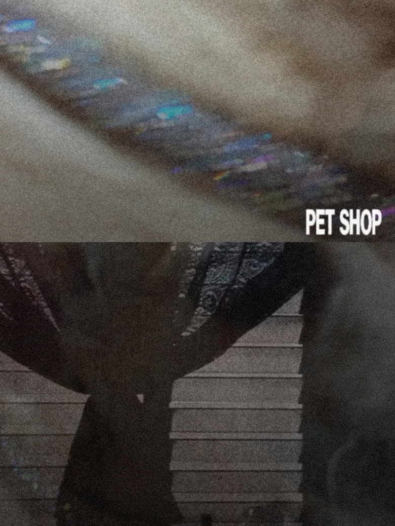 Imatge de Tienda de perros