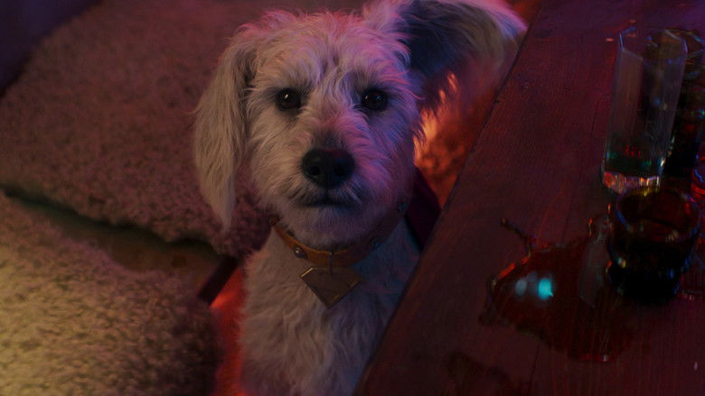 Nzl8i0ckc0l2usrem6ohzep3dts