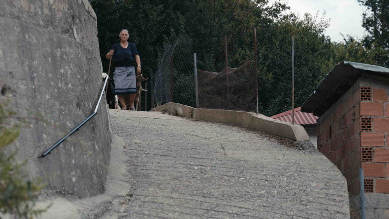 Gallery image from nzPobBHAPbz2ndjLBbwkqVvzxDU.jpg