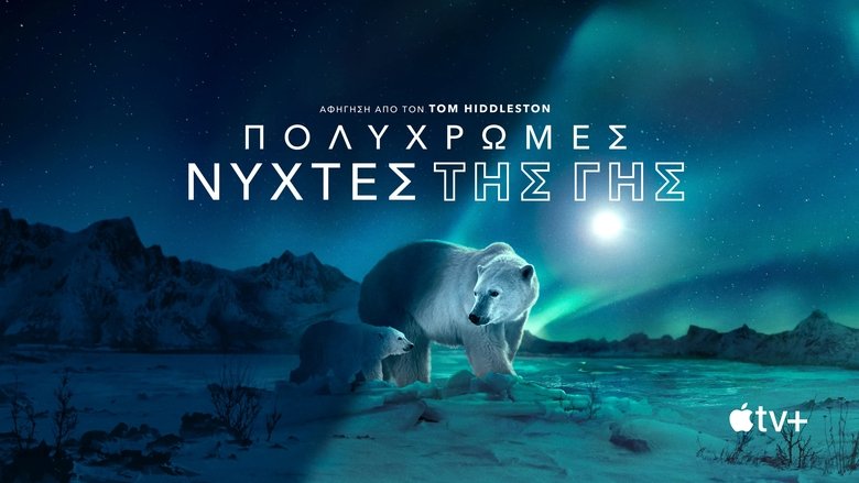 Gallery image from nzaYAdLh0wyKl0EkXVnTWMMVIWr.jpg