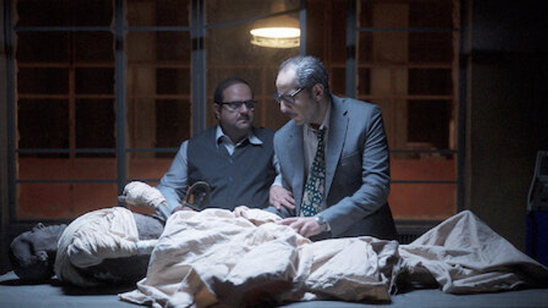 Il Boss Del Paranormal Streaming Stagione 1