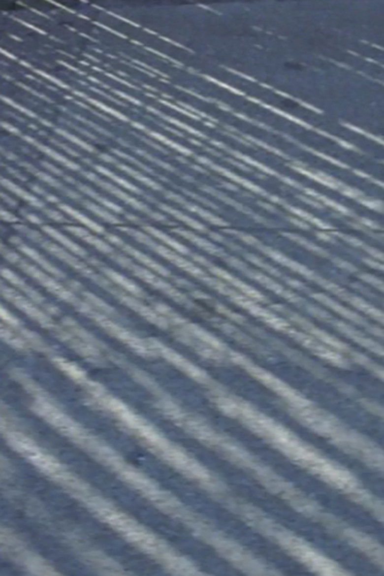 Imatge de Trajections