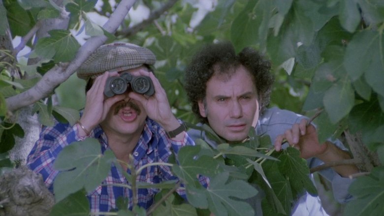 Eva Man (The Love Machine) (1980)
