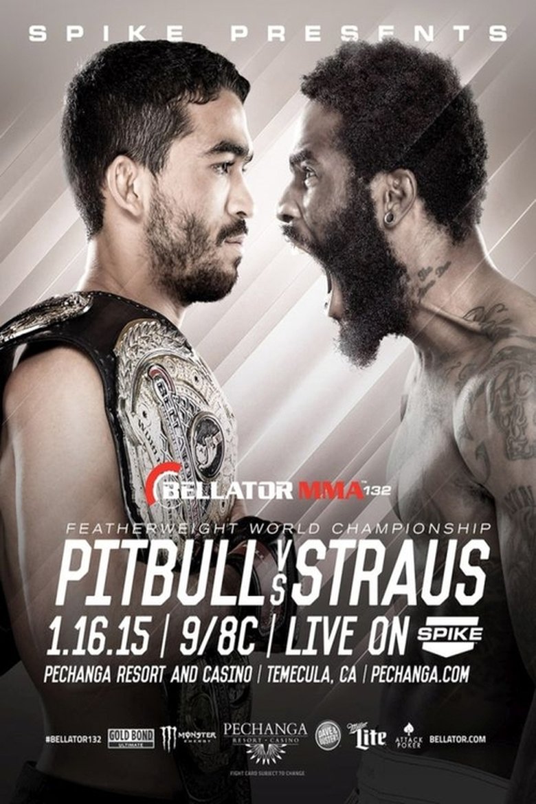 Bellator 132: Pitbull vs. Straus 2 main poster