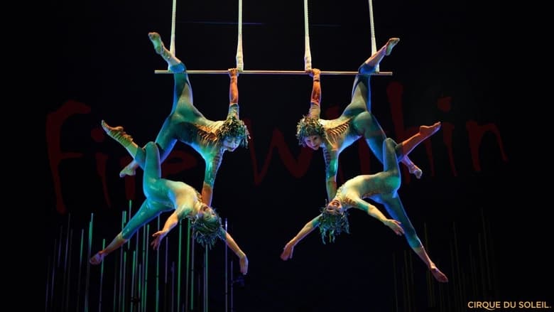 Cirque du Soleil: Varekai