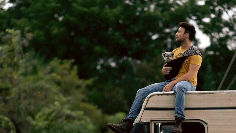 Dogs on the Sendero (2024)