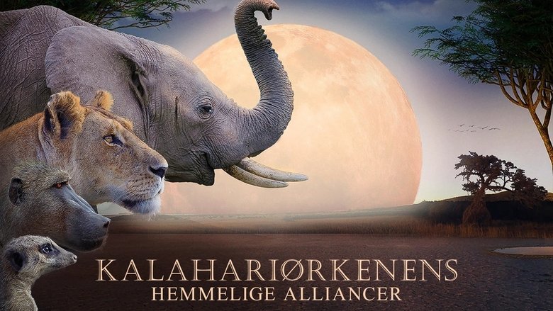 Gallery image from o1gnId5CWPYNSXm84jKC5ptQg12.jpg