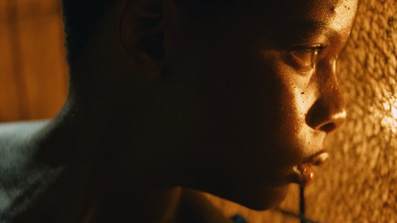 Tropic of Violence (2022)